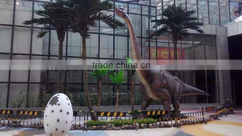 Landscape Hainan coconut palm tree for Dinosaur Theme Park