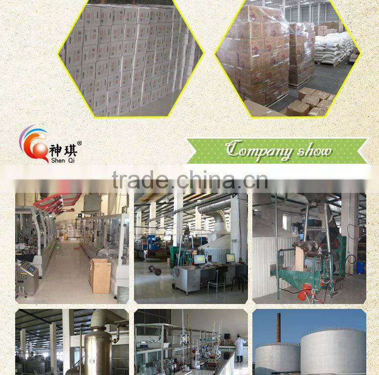 Halal product nutrition dry yeast vaccum bag 10g bakery Instant dry yeast