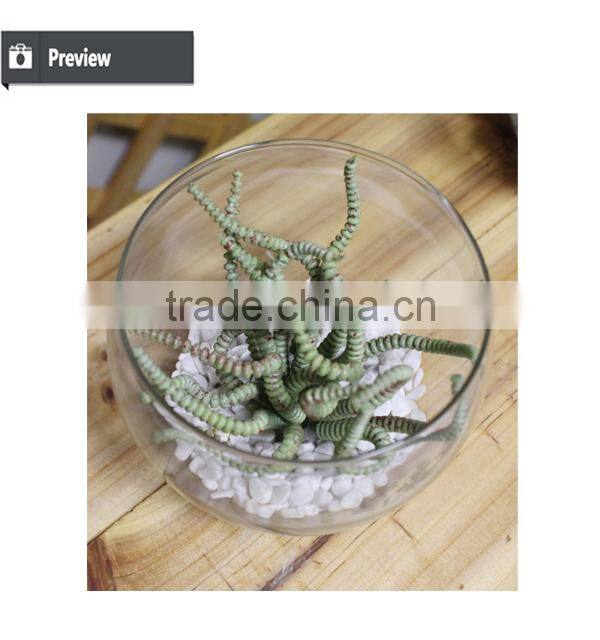 artificial preserved succulents artificial potted mini succulent plants hot sale artificial potted plants