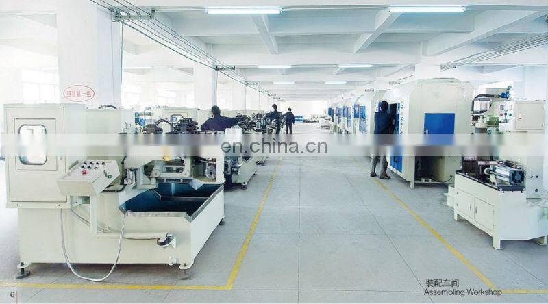 Quanzhou long lifespan 250kg automatic shot blasting machine