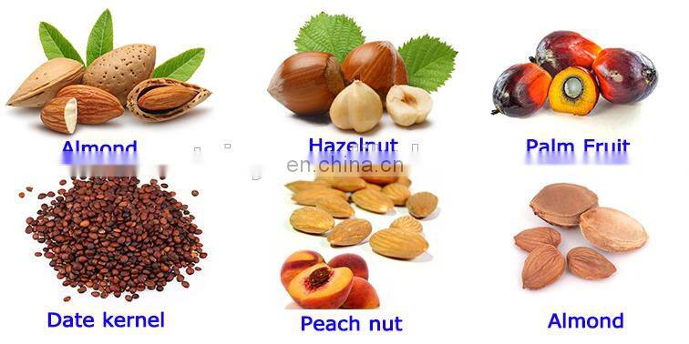 Taizy Machine for breaking nuts walnut almond cracking and shelling machine