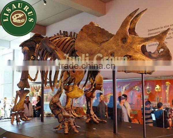 Lisaurus-0047 Buried Discovery Science Dinopark Dinosaurs Fossils Replica