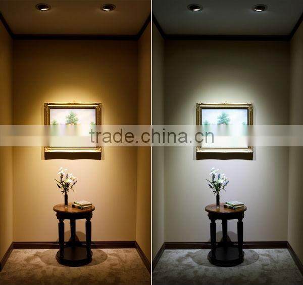 China manufacturer G9 LED light