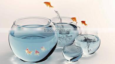 Fashionable round fish tank with CE certificate