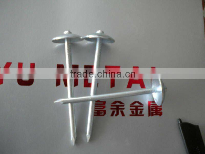 galvanized roofing nails with umbrella head/umbrella head nails /galvanzied roofing nail