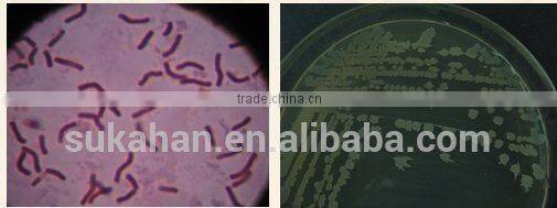 Biological Composting Agent for Making Fertilizer