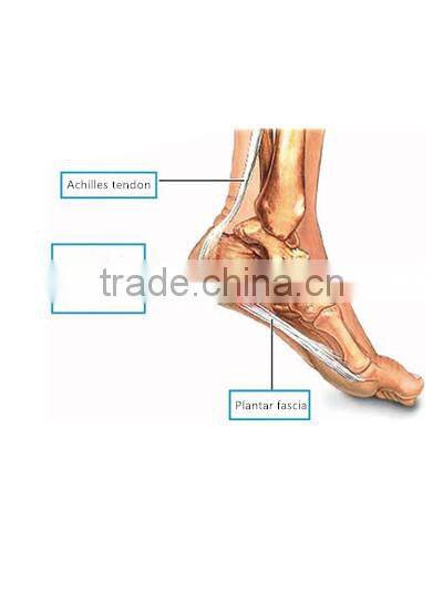 China traditional Herbal extract type Heel pain relief patch