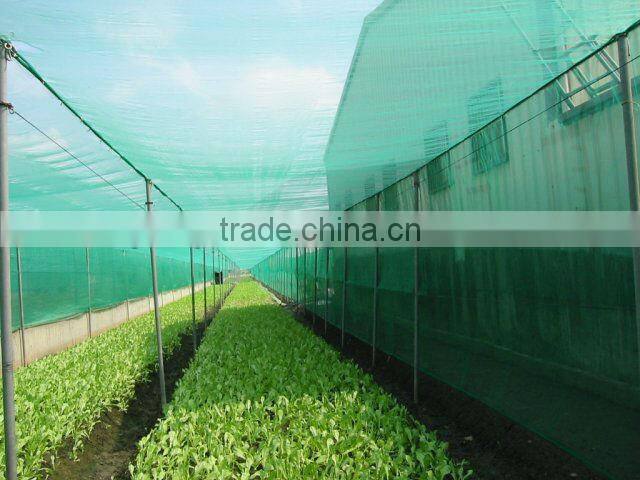 HDPE hot sell anti insect net