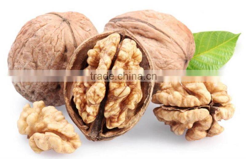 walnut without shell/ walnut meat/ walnut kernel