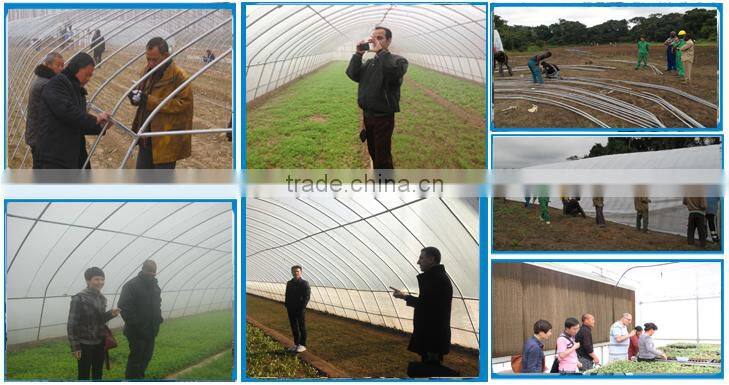 Professional solar high tunnel hot galvanized steel green houses for agriculture