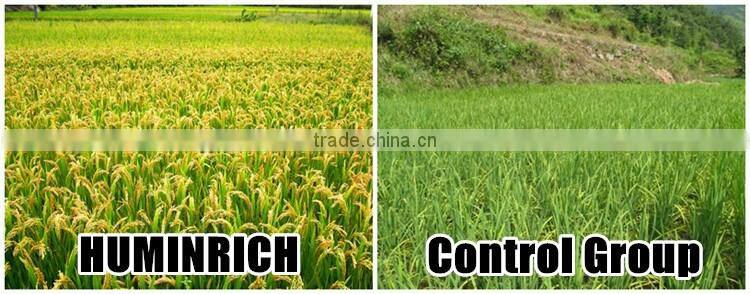 Huminrich Promote Metabolism And Cell Division Amino Acid Granules Form