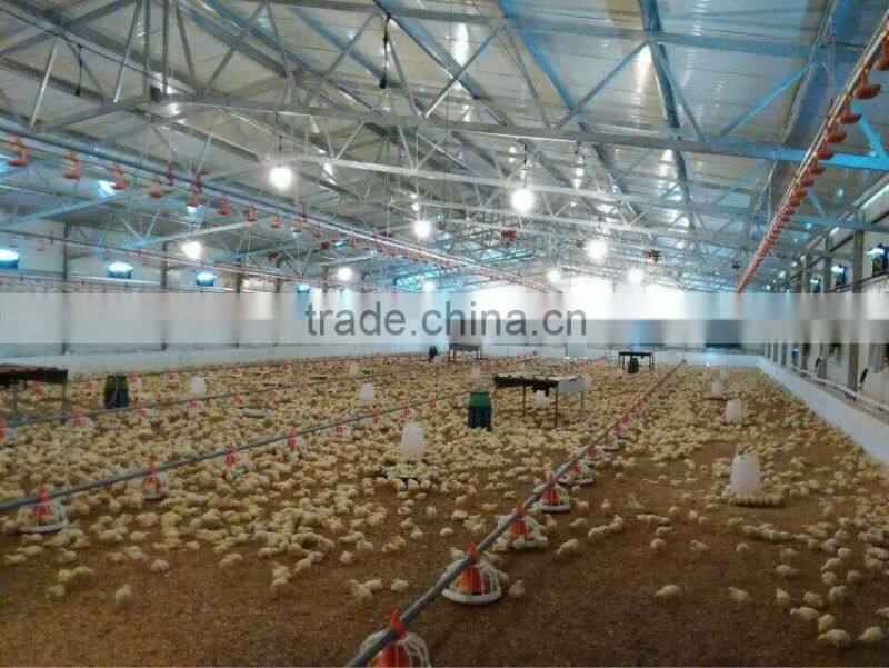 broiler ground raising equipment chicken house