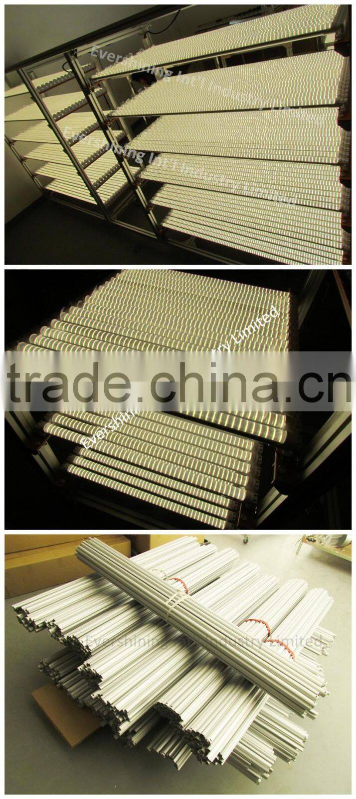 With CE RoHS Approval SMD2835 1200mm T8 LED Tube