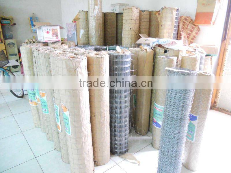 Electro Galvanized Welded Wire Netting