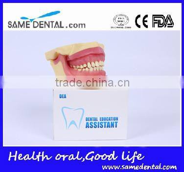 NISSIN Anesthesia extraction model school teaching demonstration