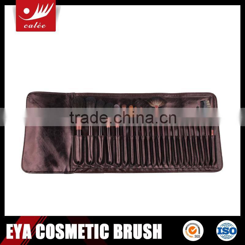 Fashionable 22pcs professional cosmetic brush set with handbag