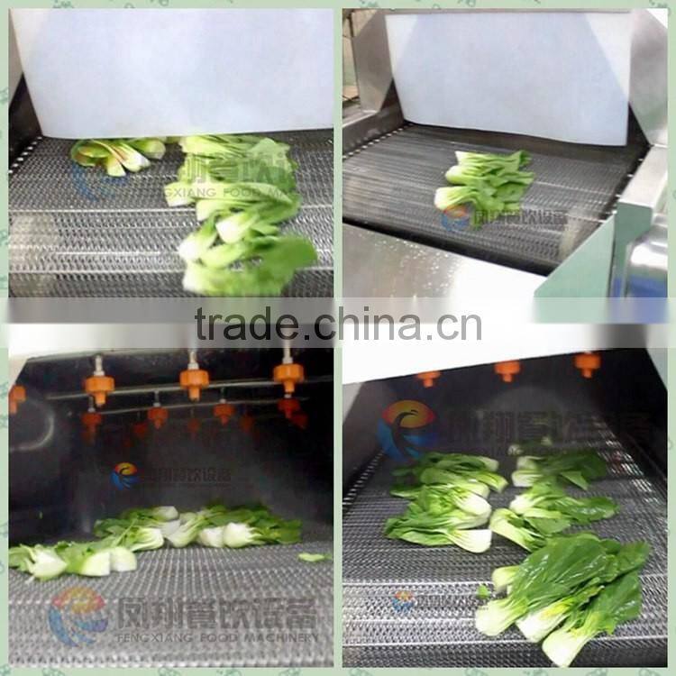 Water Recycle Saving Vegetable and Fruit Washing Cleaning Machine