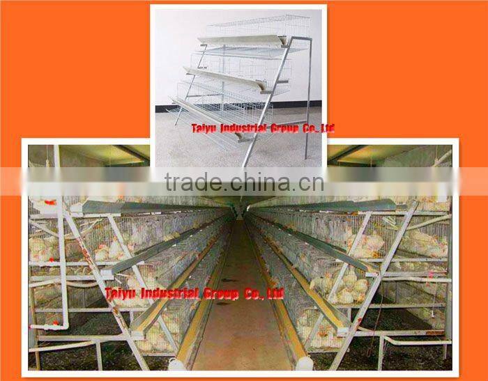 TAIYU-3 egg laying poultry cages (Full galvanized, Long durability, Anti-corrosive, Easy installation, Auto water system)