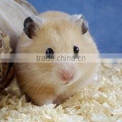 High efficiency wood shaving pellet making machine for animal Bedding