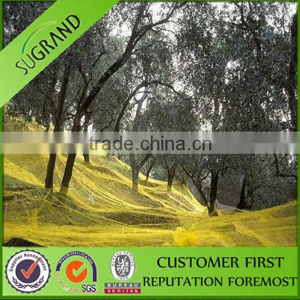 HDPE Agriculture Fruit/Olive Net/Harvest Nets/Collection/Collecting Net