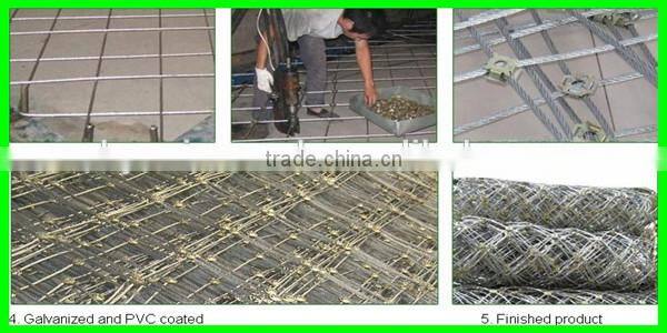 Active& passive slope protective steel wire mesh