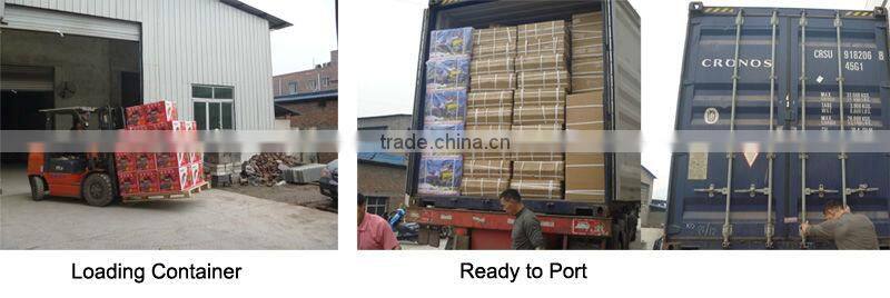 WP30 3 inch Pump 168F Gasoline Engine Water Pump Made In China /Bomba de agua