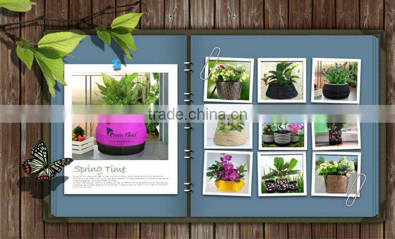 Green Field New Hydroponics Garden Flower Planter