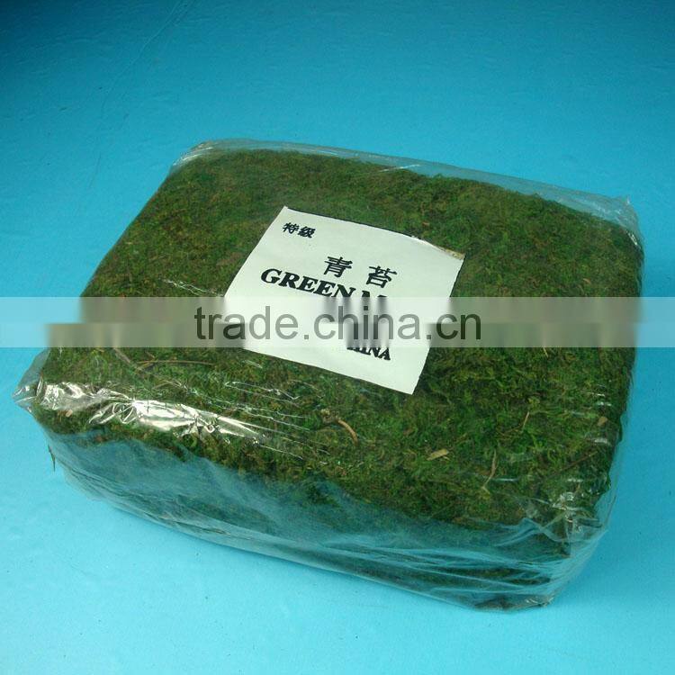 artificial moss real moss dry green moss decoration