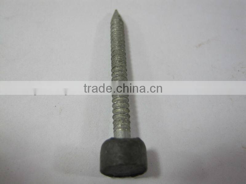 Polished Lead Head Nails with Factory Price