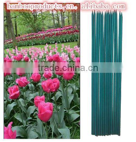 Raw Material Bamboo Sticks