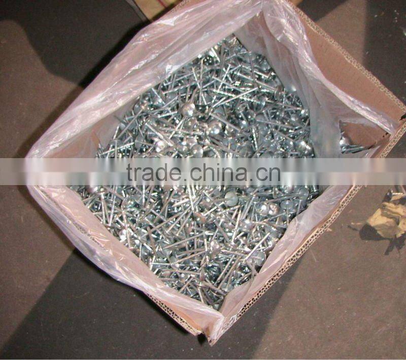china roofing nails/roofing nails umbrella head/roofing nails cheap price