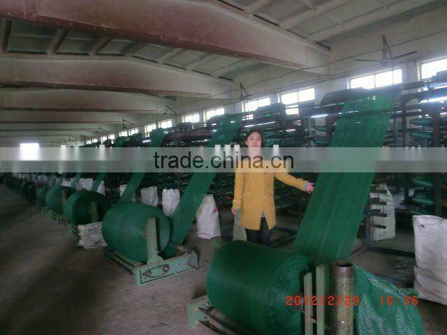 the newest pp leno mesh cabbage bag with drawstring and hign qulity