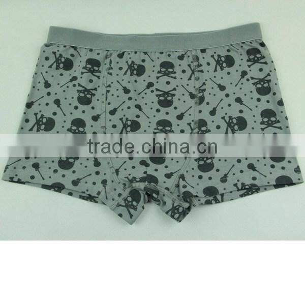 Custom Elastic Waistband Underwear Teen Sexy Boys Cotton Boxer