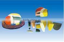 Brain model ,Enlarged thalamus