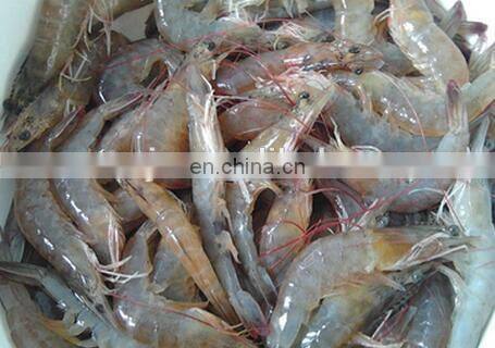 Stainless steel shrimp prawn skin peeling machine/shrimp prawn shelling peeling machine for sale