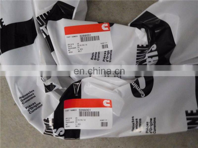 3289001 belt