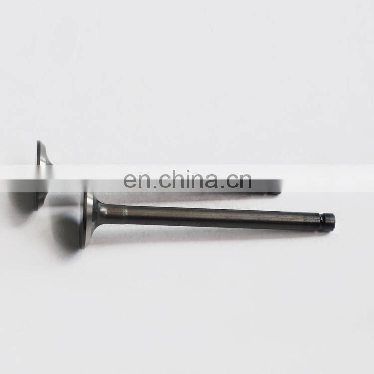 Forklift Excavator Machinery Engine A1400 A1700 A2300 Parts Exhaust Valve 4900338 4900337