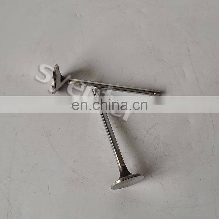 6CT Diesel Engine Parts Intake Valve 3802812