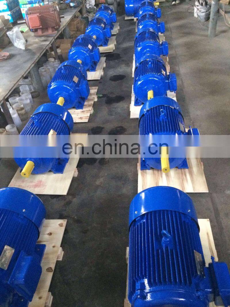 Y2 Series Three Phase AC Electric Motor (Y2-250M-2, 55kw/75HP 2970rpm 220/380V)