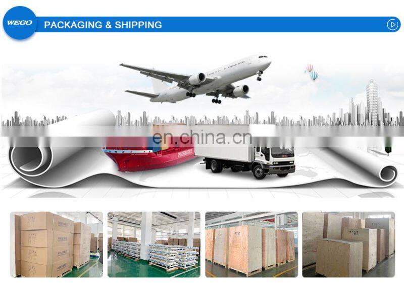 Wego hot product 10L Home Use Medical Portable Oxygen Generator medical oxygen concentrator price