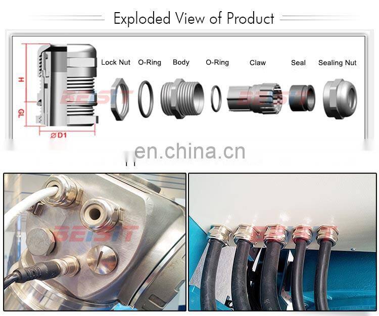 High Quality Quick Connector Electrical Nickel Plated Brass Cable Gland PG Type