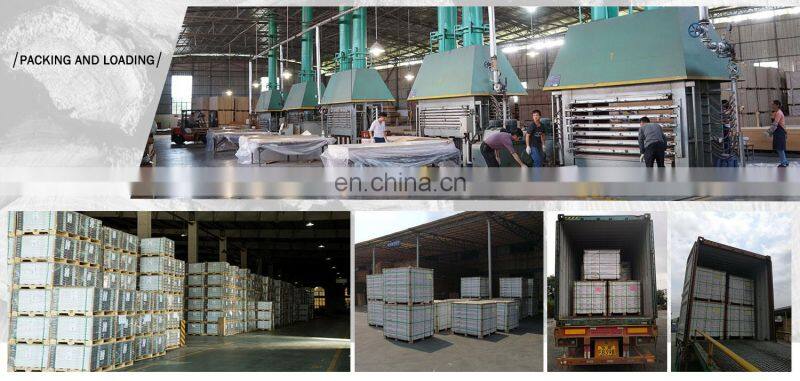 150x900mm egypt ceramic floor wood grain tile