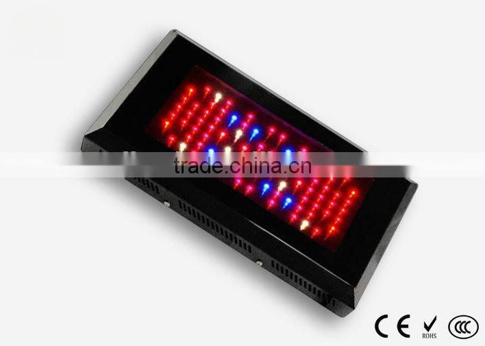 Indoor Plant Tissue Culture Lights full Spectrum Led Grow Light for greenhouse