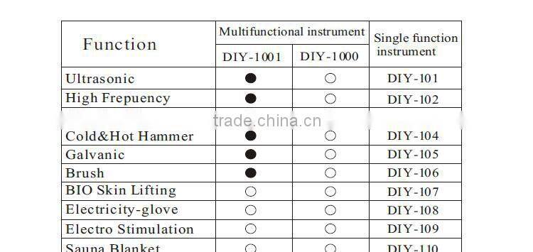 hotsale 17 in 1 multifunction skin care beauty salon machine DIY-1001