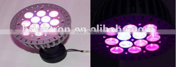 High Quality 5w chip new adjustable E27 cob led grow light