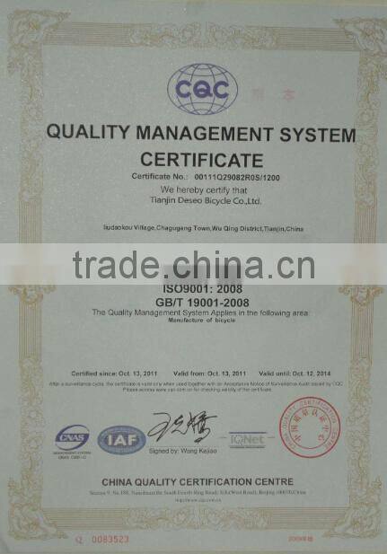 Hot !!! beach bike bicycle double ride