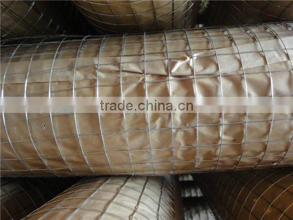 Electro Galvanized Welded Wire Mesh cheap chicken wire