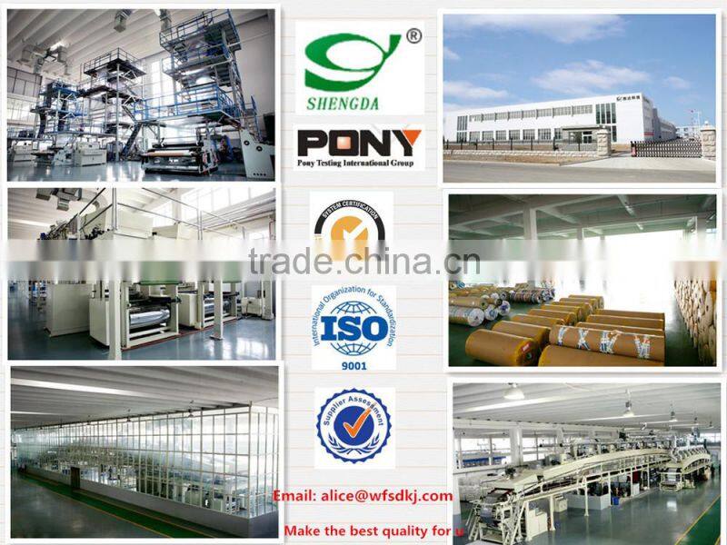 Polester Liner/Polyester Release Liners/PET Liner