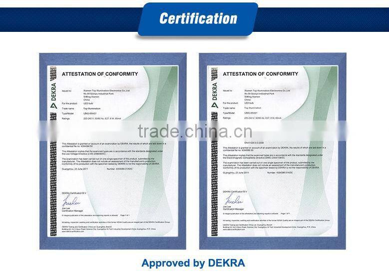 China supplier new design decorative lamp