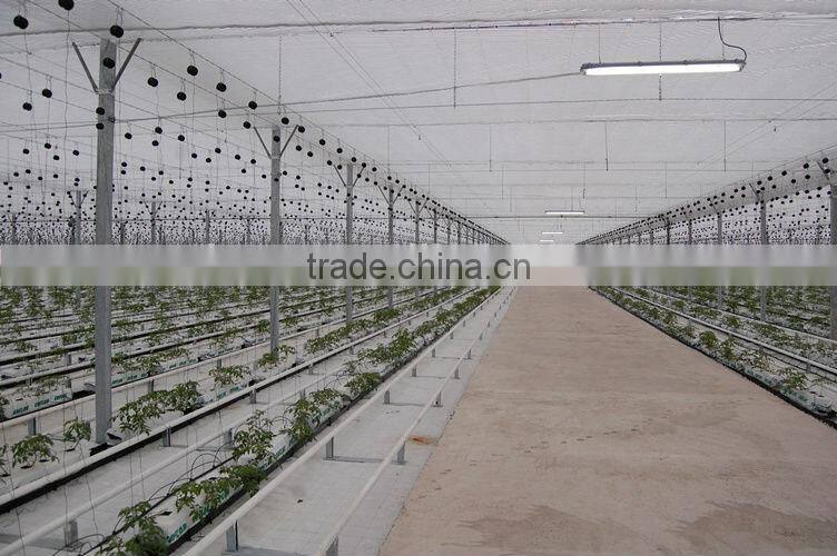 hydroponic NFT growing system greenhouse